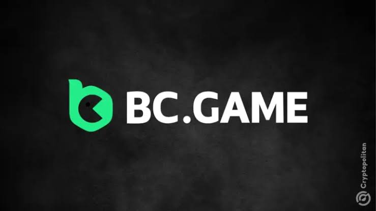 In-Depth Review of the BC App Features, Performance, and User Experience