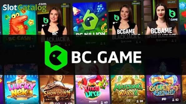 In-Depth Review of the BC App Features, Performance, and User Experience